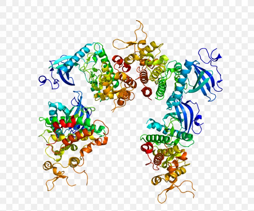 DYRK1A Dual-specificity Kinase Protein Gene, PNG, 1200x1000px, Dualspecificity Kinase, Art, Autophosphorylation, Body Jewelry, Chromosome 21 Download Free