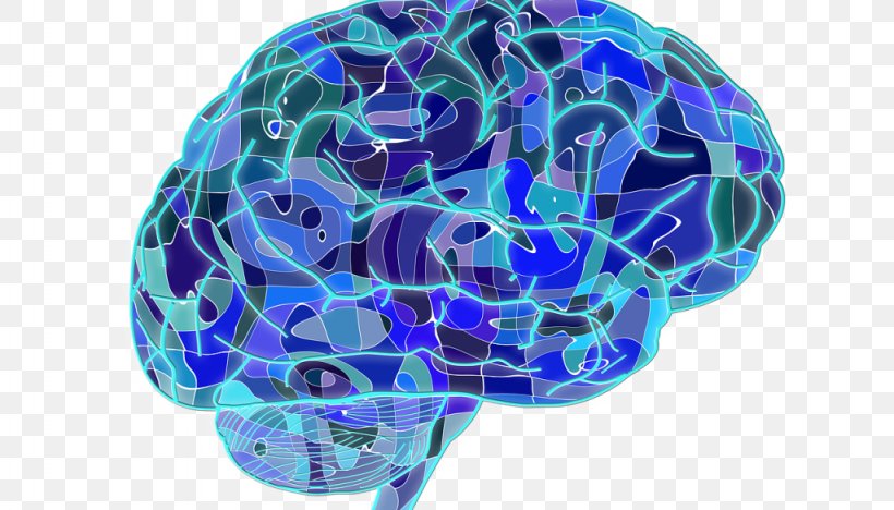 Human Brain Neuroscience Neuroplasticity Cognitive Training, PNG, 1024x585px, Watercolor, Cartoon, Flower, Frame, Heart Download Free