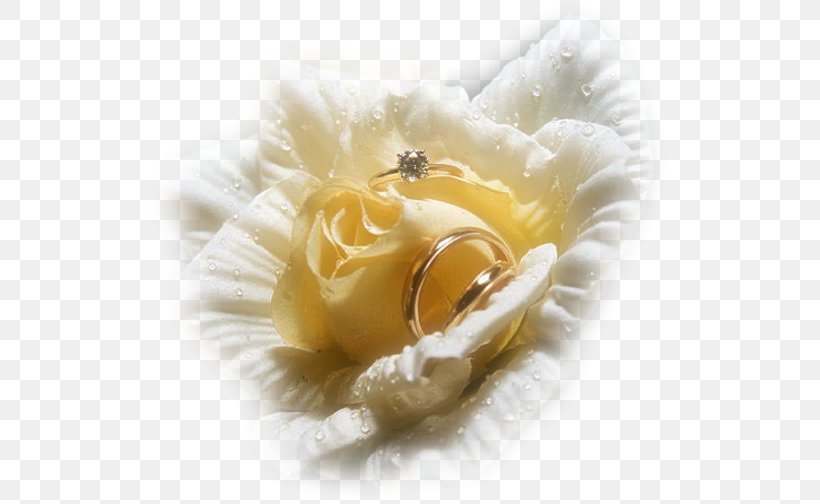 Wedding Ring Engagement Ring Bride, PNG, 520x504px, Wedding Ring, Bride, Engagement, Engagement Ring, Flower Download Free