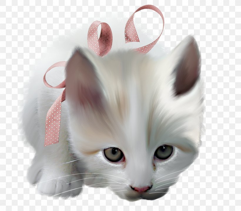 Whiskers Kitten Turkish Van Pink Cat Domestic Short-haired Cat, PNG, 1280x1122px, Whiskers, Animal, Black Cat, Carnivoran, Cartoon Download Free