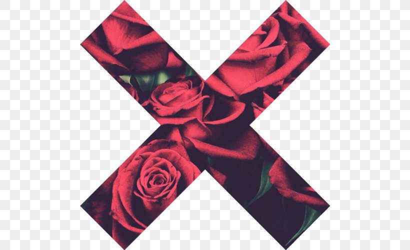 Garden Roses Desktop Wallpaper Red Blue Rose, PNG, 500x500px, Rose, Black Rose, Blue, Blue Rose, Flower Download Free
