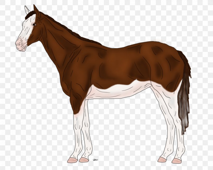 Stallion Pony Thoroughbred Mare Vector Graphics, PNG, 999x799px, Stallion, Animal, Bridle, Colt, Drawing Download Free