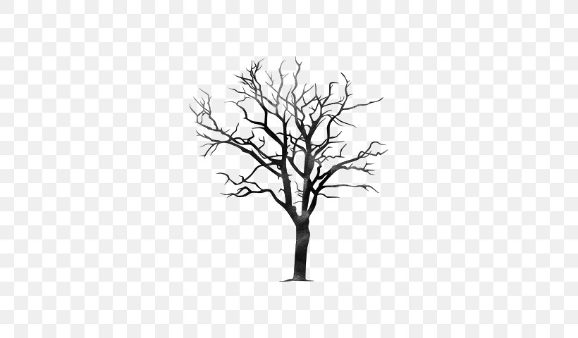 Twig Tree Branch Trunk Pine, PNG, 640x480px, Twig, Black And White, Branch, Christmas Tree, Leaf Download Free