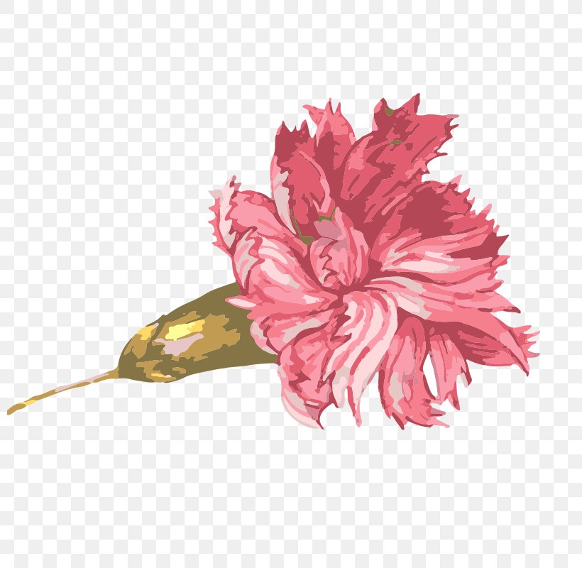 Watercolor Painting Illustration, PNG, 800x800px, Watercolor Painting, Carnation, Cut Flowers, Designer, Floral Design Download Free