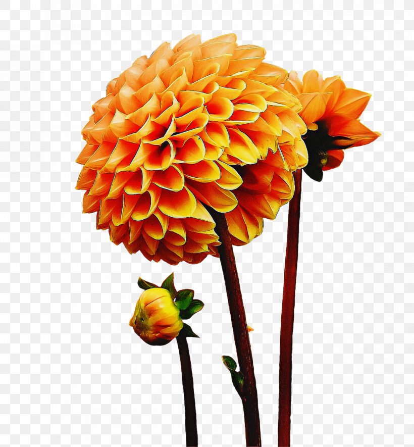 Artificial Flower, PNG, 1185x1280px, Flower, Artificial Flower, Cut Flowers, Dahlia, Flowering Plant Download Free
