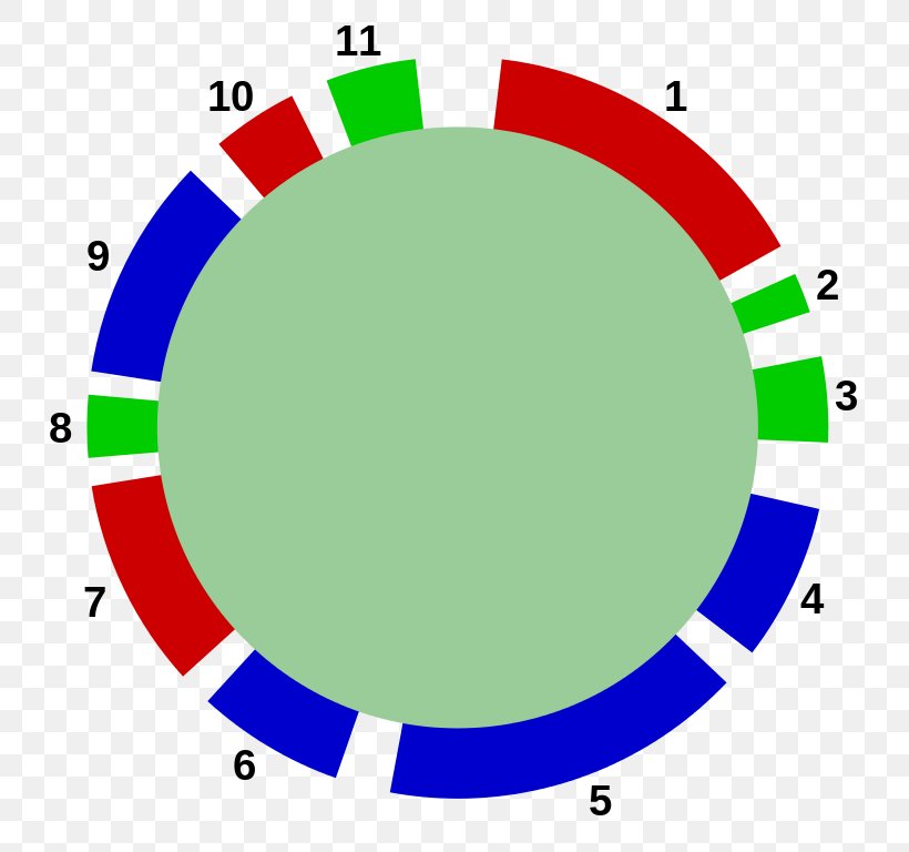 Circle Point Organization Green Clip Art, PNG, 768x768px, Point, Area, Green, Organization Download Free