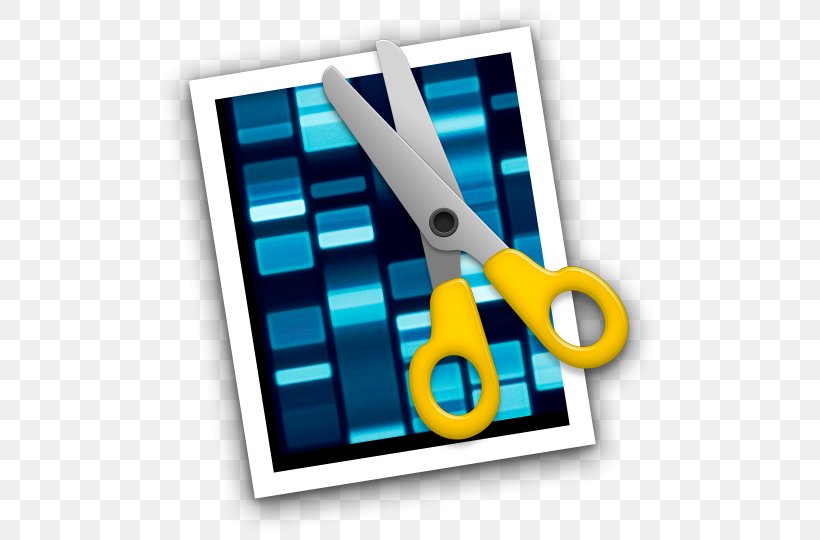 DNA Sequencing Nucleic Acid Sequence DNA Sequencer Molecular Biology, PNG, 500x540px, Dna, Biology, Computer Software, Dna Sequencer, Dna Sequencing Download Free