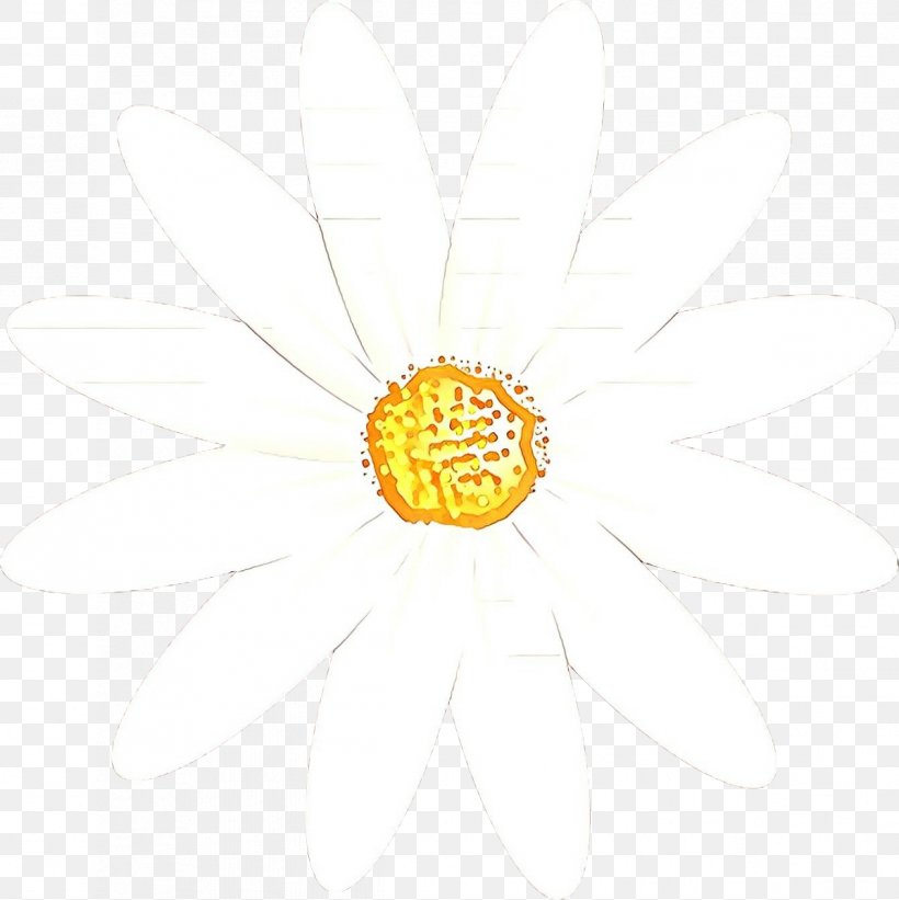 Flowers Background, PNG, 1198x1200px, Cartoon, Camomile, Chamomile, Cut Flowers, Daisy Download Free
