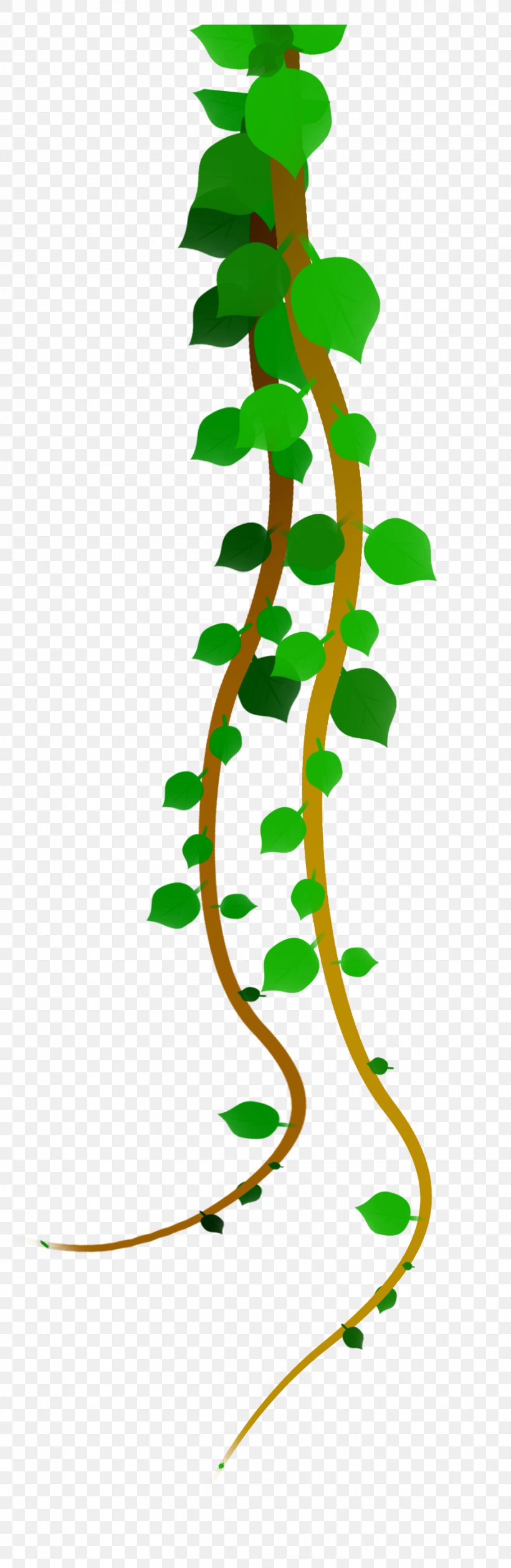 Leaf Green Plant, PNG, 932x2859px, Leaf, Art, Fictional Character, Flora, Fundal Download Free