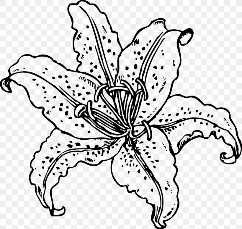 Lilium 'Stargazer' Easter Lily Tiger Lily Clip Art, PNG, 1000x945px, Lilium Stargazer, Art, Artwork, Black And White, Butterfly Download Free