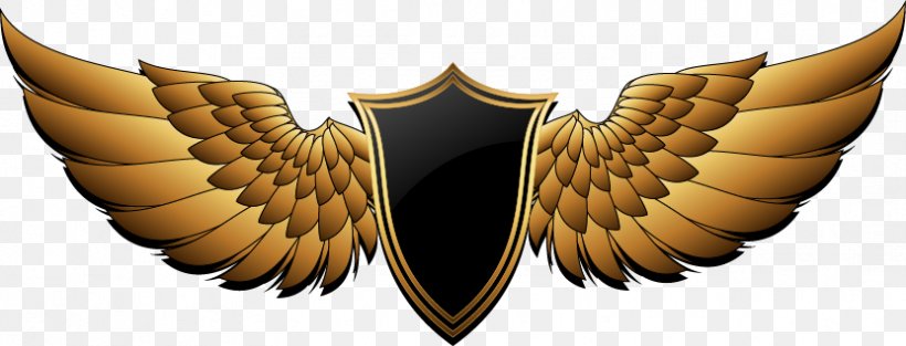 Pfc Berkut Armyansk Buffalo Wing Fc Ocean Kerch Logo Png
