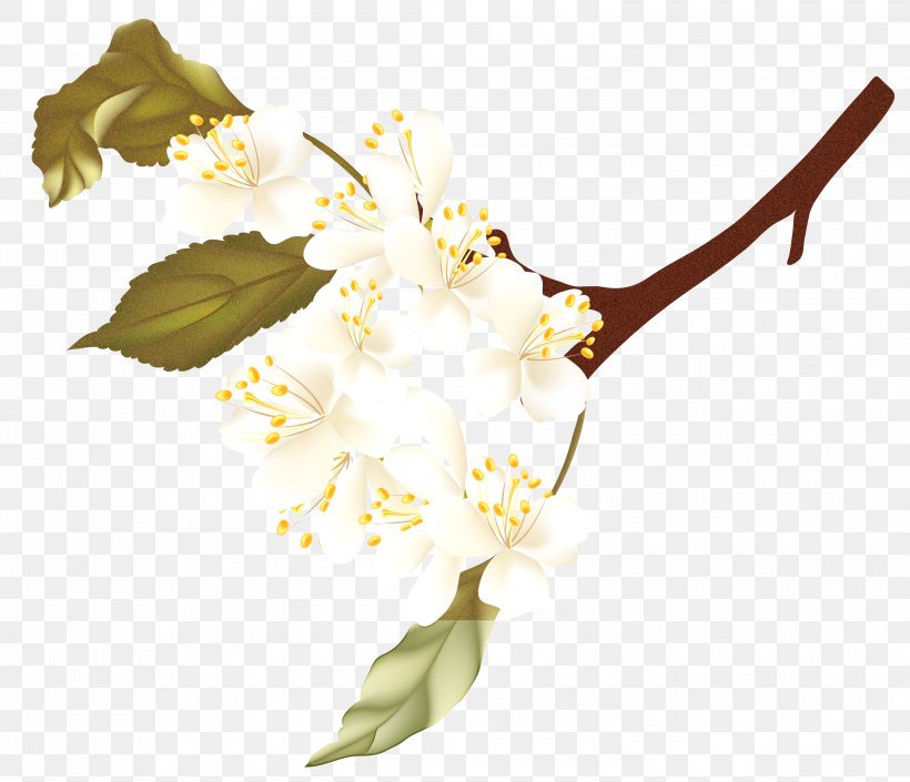 Floral Spring Flowers, PNG, 3000x2581px, Cut Flowers, Blossom, Branch, Floral Design, Flower Download Free