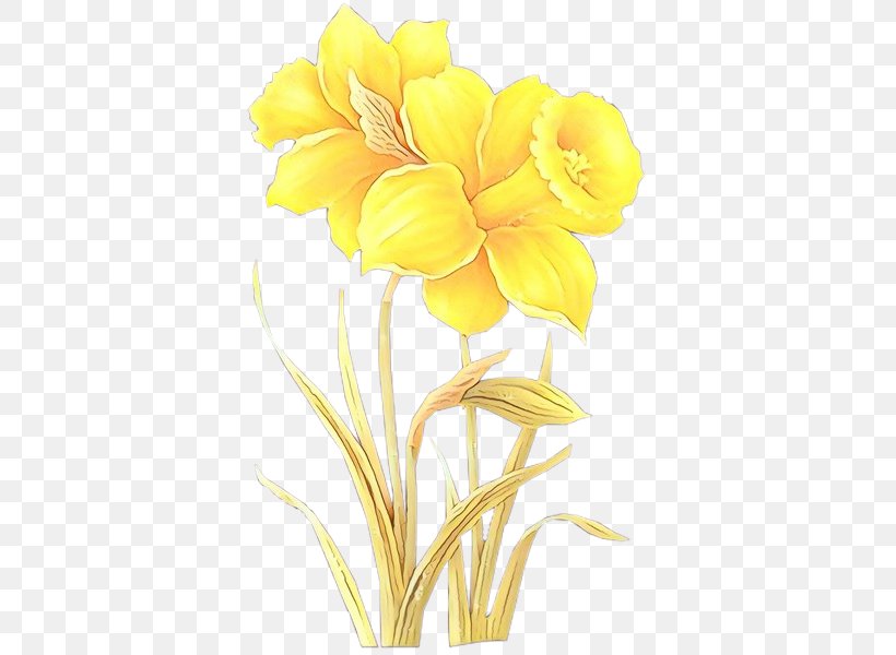 Flower Yellow Petal Cut Flowers Flowering Plant, PNG, 600x600px, Cartoon, Cut Flowers, Evening Primrose Family, Flower, Flowering Plant Download Free