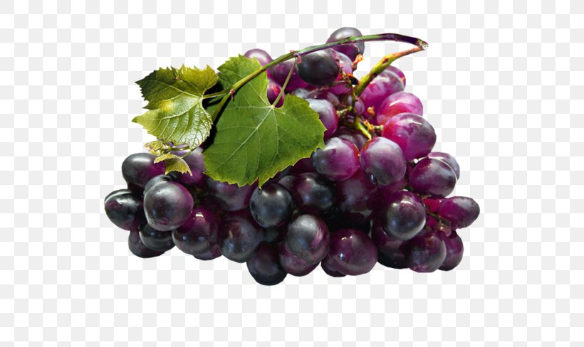 Grape Seed Extract Grapevines, PNG, 552x488px, Grape, Boysenberry, Flowering Plant, Food, Fruit Download Free