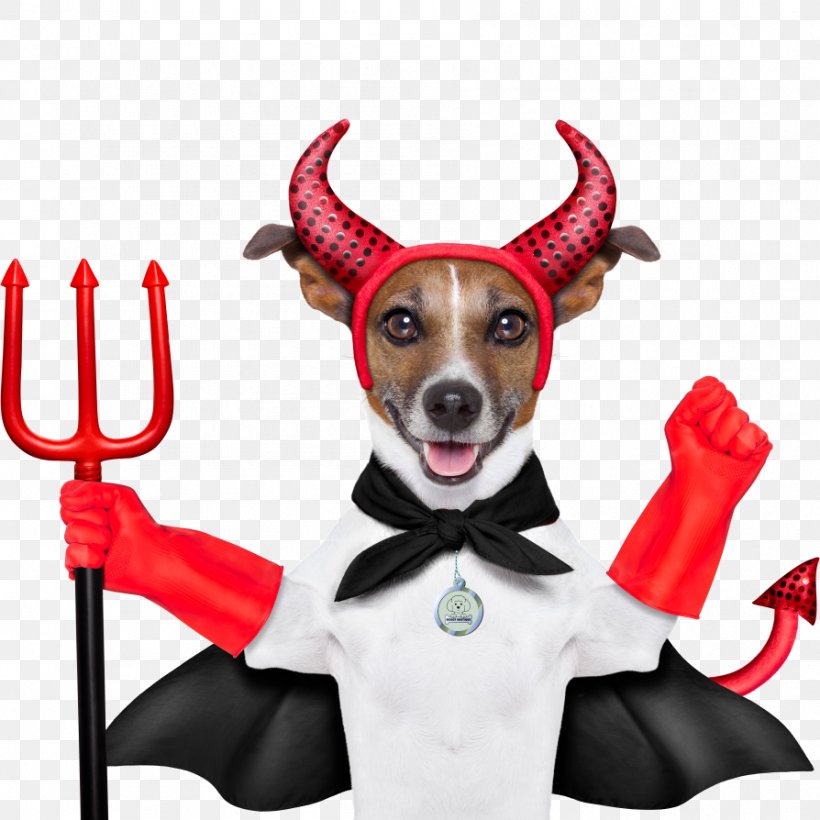 Dobermann German Pinscher Devil Dog Stock Photography, PNG, 894x894px, Dobermann, Carnivoran, Devil, Devil Dog, Dog Download Free