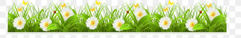 Euclidean Vector Material Computer File, PNG, 2000x320px, Material, Commodity, Concepteur, Flower, Grass Download Free