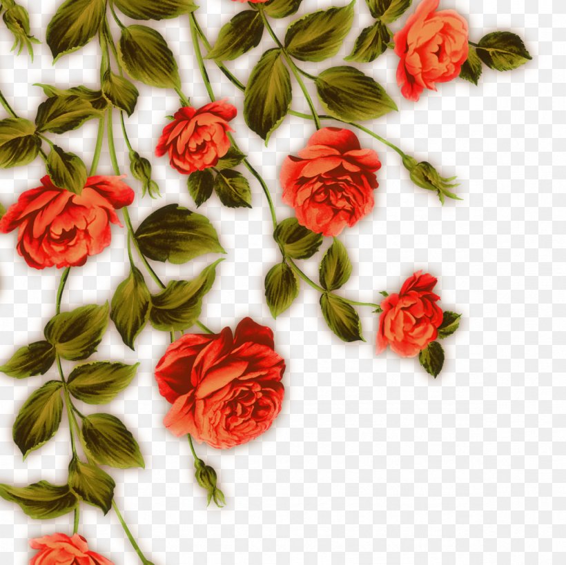 Garden Roses Beach Rose Flower Red, PNG, 1181x1181px, Garden Roses, Artificial Flower, Beach Rose, Cartoon, Centifolia Roses Download Free