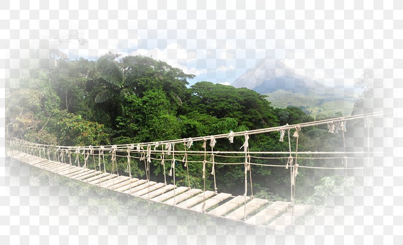 Monteverde Travel Desktop Wallpaper, PNG, 800x500px, Monteverde, Adventure, Bridge, Car Rental, Costa Del Mar Download Free