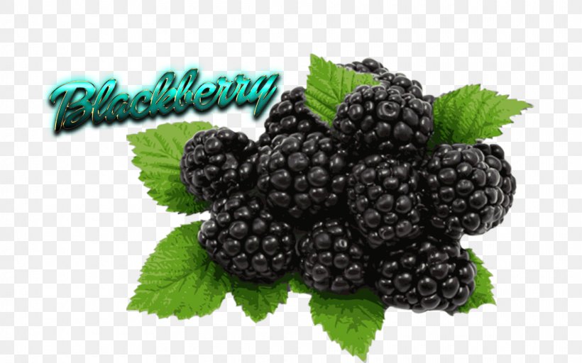 Organic Food Black Raspberry Berries Flavor Fruit, PNG, 1920x1200px, Organic Food, Berries, Berry, Bilberry, Black Raspberry Download Free