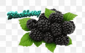 Berries - Organic Food Black Raspberry Berries Flavor Fruit PNG