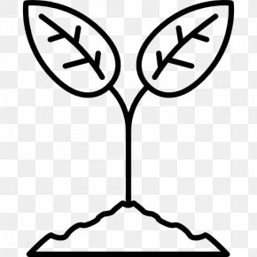 Plant Sprout PNG