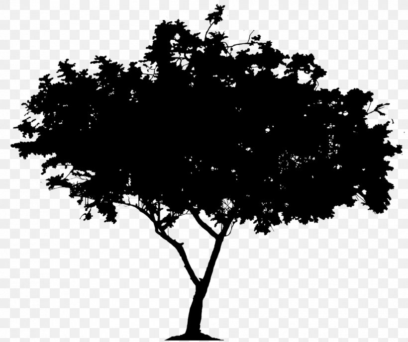 Clip Art Silhouette Tree Image, PNG, 1044x876px, Silhouette, Arbor Day, Blackandwhite, Branch, Diagram Download Free