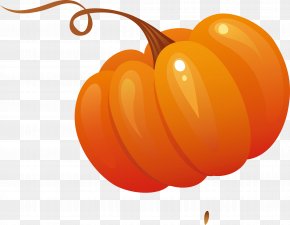 Vegetable Decoration Designer - Vegetable Pumpkin Salad PNG
