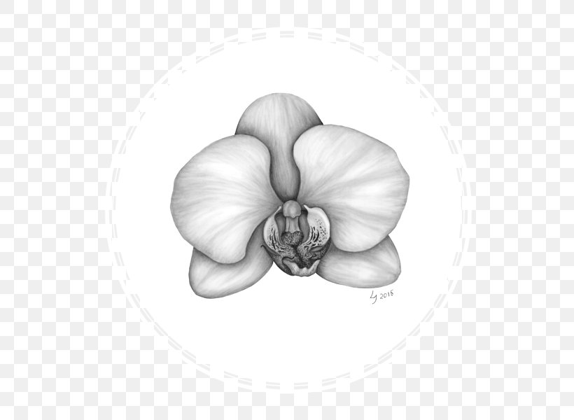 White Flowering Plant, PNG, 600x600px, White, Artwork, Black And White, Drawing, Flower Download Free