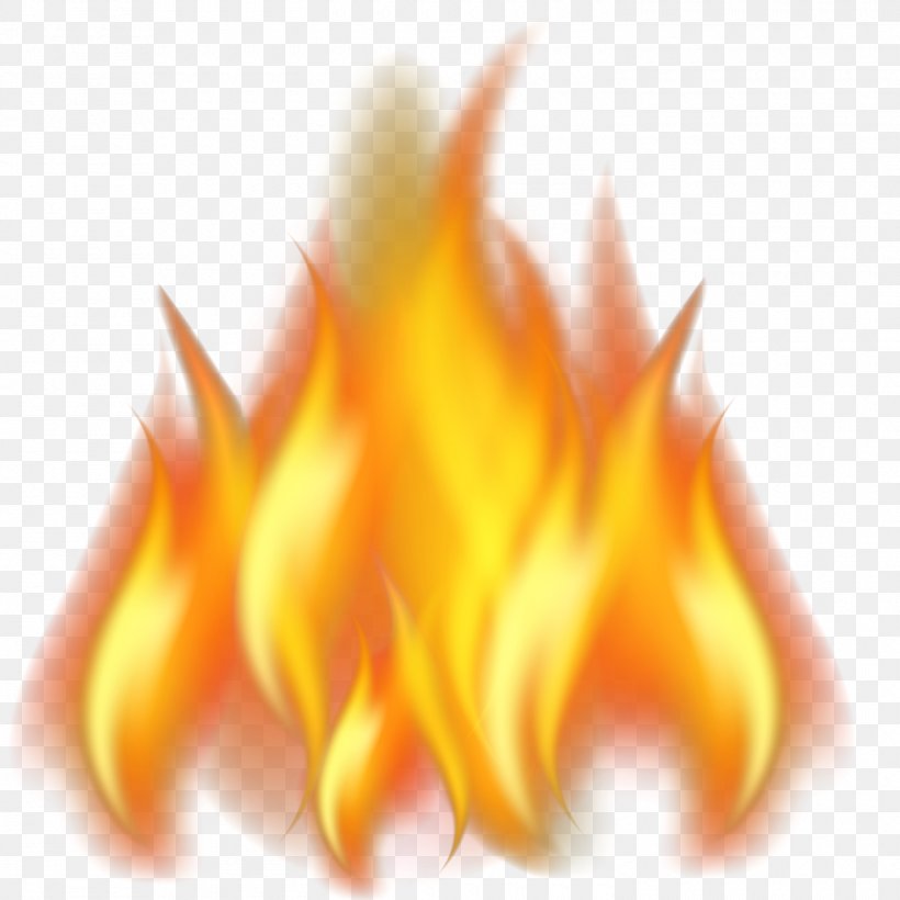 Flame Fire Euclidean Vector, PNG, 1500x1500px, Flame, Close Up, Combustion, Computer Graphics, Fire Download Free