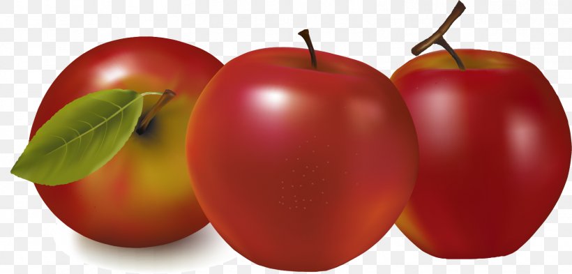 Royalty-free Apple Fruit Illustration, PNG, 1563x750px, Royaltyfree, Accessory Fruit, Acerola, Acerola Family, Apple Download Free