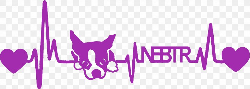 Hoodie Northeast Boston Terrier Rescue Zazzle, PNG, 2626x937px, Watercolor, Cartoon, Flower, Frame, Heart Download Free