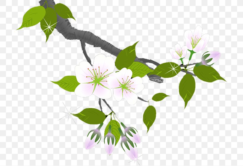 Plum Blossom Flower Branch Petal, PNG, 714x561px, Plum Blossom, Branch, Chemical Element, Flora, Floral Design Download Free