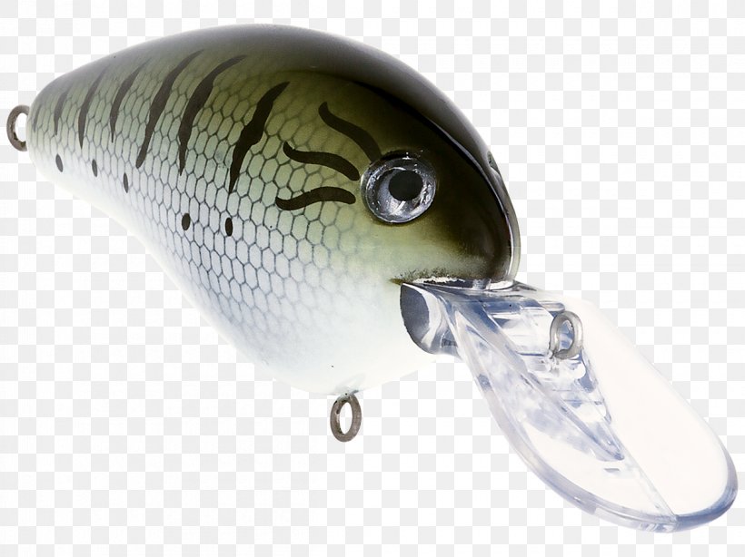 Spoon Lure Plug Divemaster Fishing Baits & Lures Underwater Diving, PNG, 1200x899px, Spoon Lure, Bait, Brown Trout, Carpfood24 Angelcenter, Color Download Free