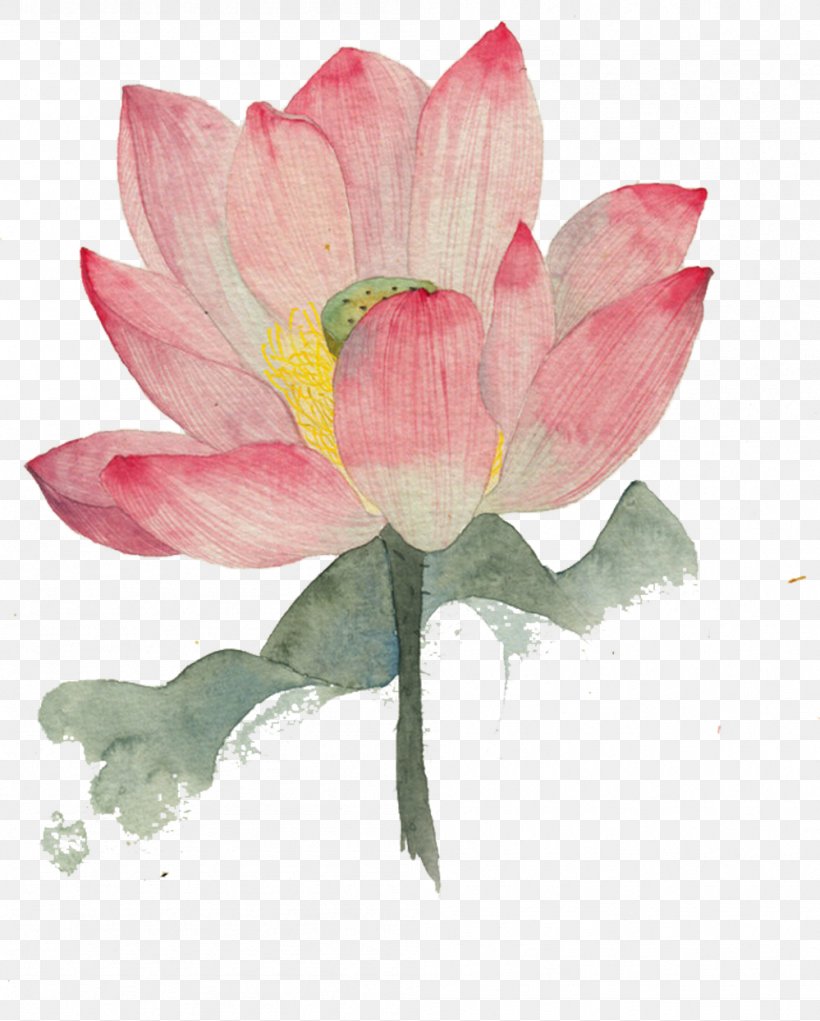 Watercolor Painting Nelumbo Nucifera Ink Wash Painting Illustration, PNG, 999x1244px, Watercolor Painting, Aquatic Plant, Art, Bud, Chinoiserie Download Free