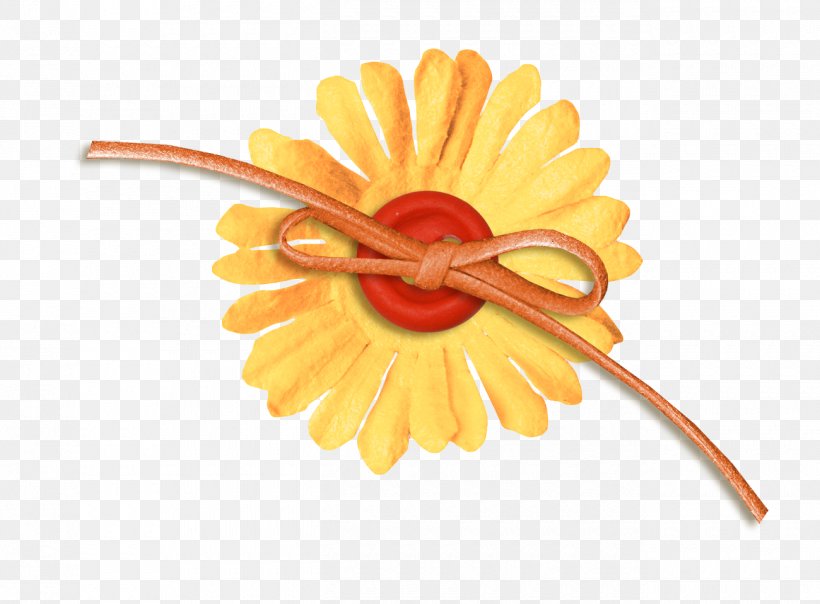 Flower Google Images Download Icon, PNG, 1300x959px, Flower, Daisy Family, Flowering Plant, Gerbera, Google Images Download Free