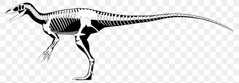 Megaraptor Australovenator Aerosteon Dinosaur Utahraptor, PNG, 1511x528px, Megaraptor, Aerosteon, Allosaurus, Animal, Animal Figure Download Free