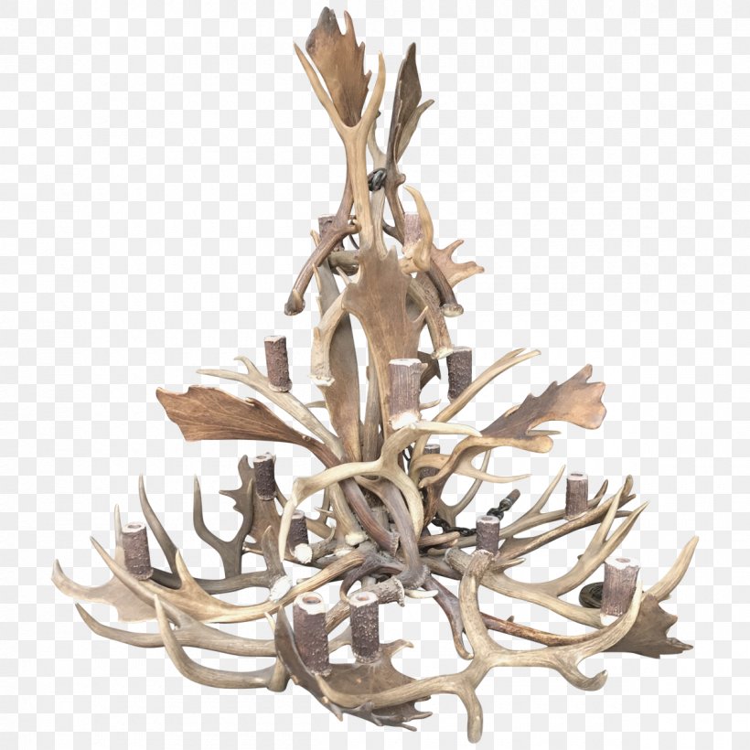 Antler Chandelier Light Fixture White-tailed Deer, PNG, 1200x1200px, Antler, Architectural Lighting Design, Ceiling, Chandelier, Dining Room Download Free