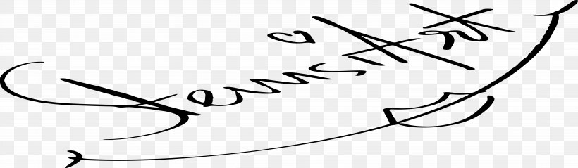 Calligraphy White Line Art Font, PNG, 5941x1737px, Calligraphy, Animal, Area, Art, Black And White Download Free