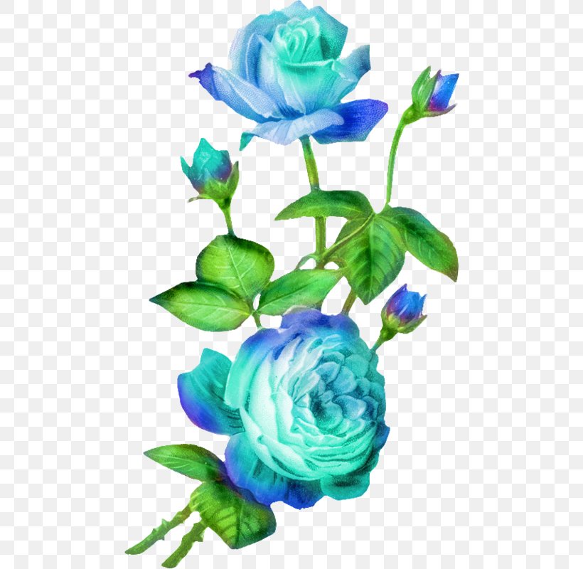 Cut Flowers Rose Clip Art, PNG, 472x800px, Flower, Artificial Flower, Blue, Blue Rose, Color Download Free