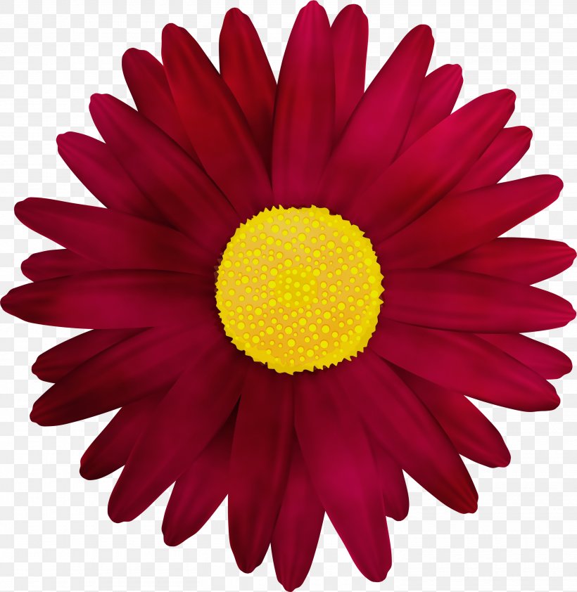 Flowers Background, PNG, 2920x3000px, Watercolor, Barberton Daisy, Chamomile, Chemical Engineering, College Download Free