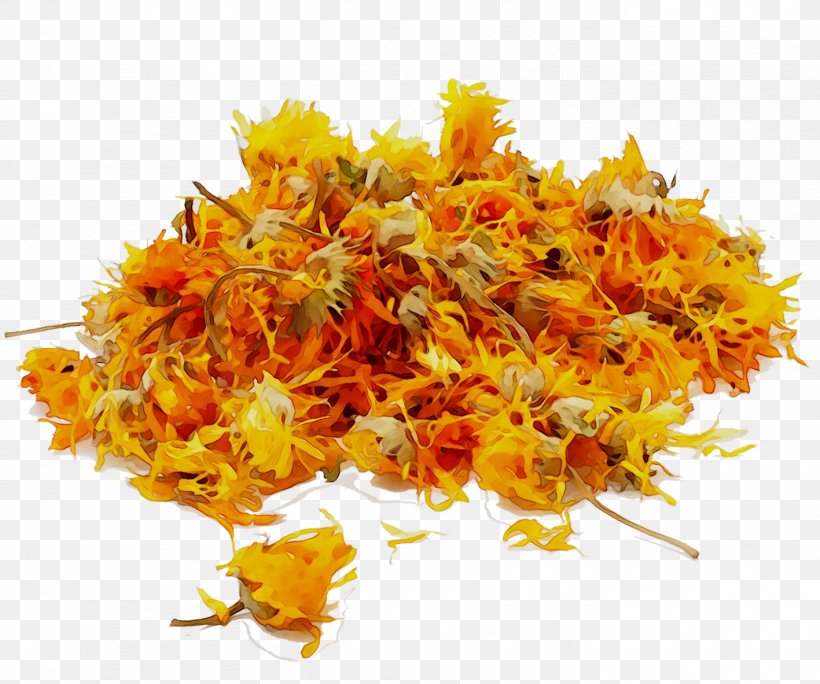 English Marigold, PNG, 1417x1183px, English Marigold, Flower, Plant, Yellow Download Free
