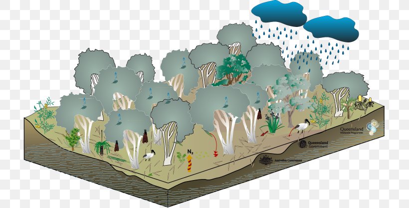 Gum Trees Ecosystem Floodplain Swamp, PNG, 725x417px, Watercolor, Cartoon, Flower, Frame, Heart Download Free