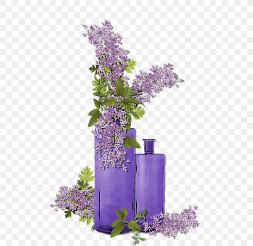 Purple Flower Violet Lavender, PNG, 572x800px, Purple, Cut Flowers, English Lavender, Floral Design, Flower Download Free