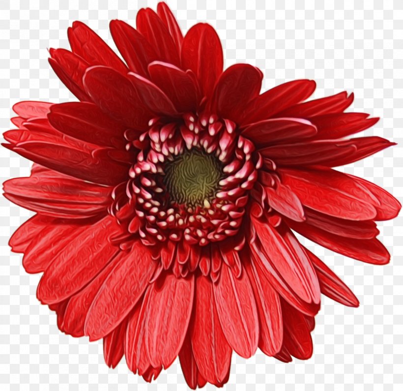 Artificial Flower Floral Design Floristry Flower Bouquet, PNG, 1200x1164px, Flower, African Daisy, Artificial Flower, Asterales, Barberton Daisy Download Free