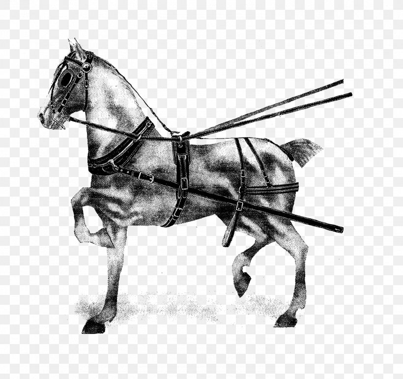 Horse Harnesses Pony English Riding Mane, PNG, 1492x1403px, Horse, Animal Figure, Bit, Black And White, Bridle Download Free