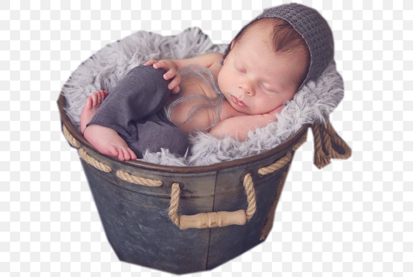 Infant Advertising 0 Basketball, PNG, 606x550px, 2017, Infant, Advertising, Basket, Basketball Download Free