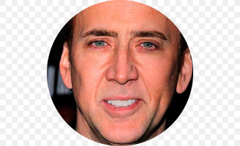 Nicolas Cage Birdy Hollywood Celebrity Actor, PNG, 500x500px, Nicolas Cage, Actor, Birdy, Celebrity, Cheek Download Free