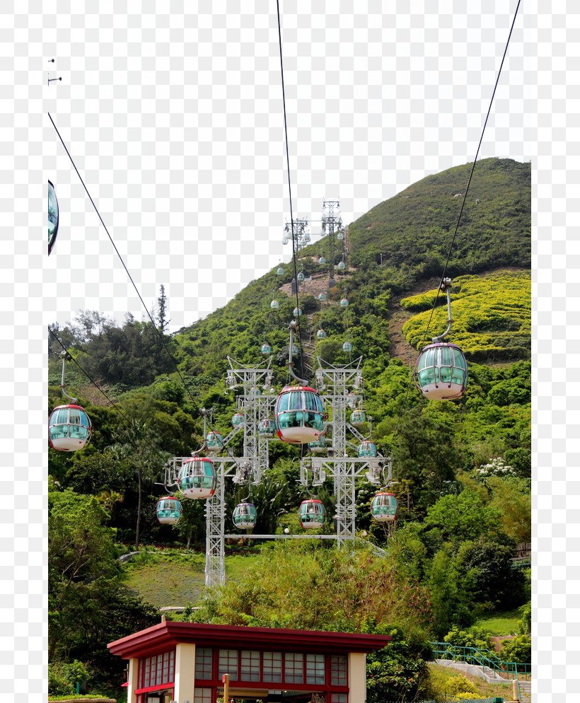 Ocean Park Hong Kong U9999u6e2fu6d77u6d0bu516cu56edu7f06u8f66 Cable Car, PNG, 683x994px, Ocean Park Hong Kong, Aerial Lift, Cable Car, City, Condominium Download Free