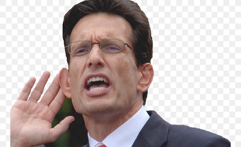 Eric Cantor Virginia Male Sun Grand City, PNG, 750x500px, Virginia, Ear, Election, Forehead, Male Download Free
