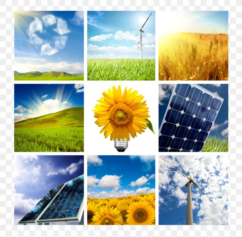 Renewable Energy Wind Turbine Wind Power Solar Energy, PNG, 1007x986px, Renewable Energy, Advertising, Collage, Company, Daisy Family Download Free